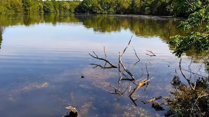 Portage Lakes State Park - Akron, OH