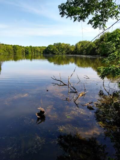 Portage Lakes State Park - Akron, OH