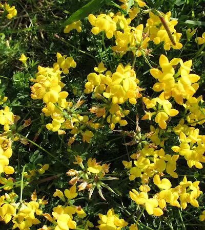 Riverside Park - Akron, OH