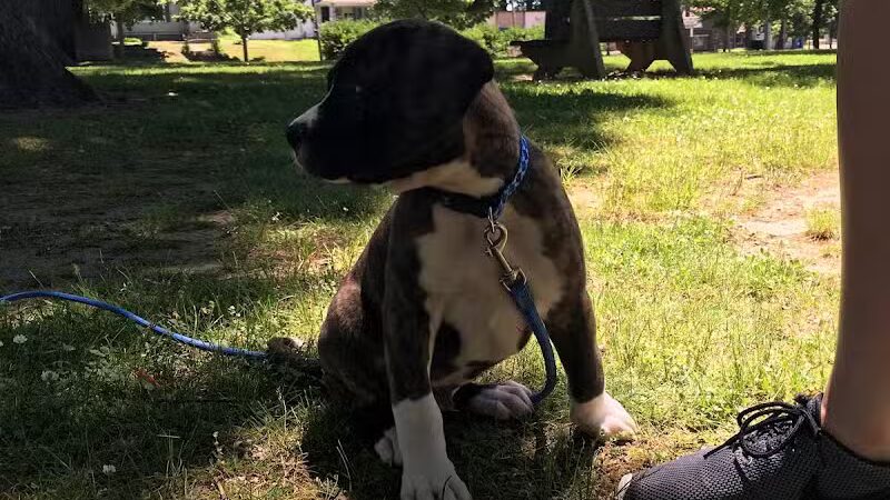 Shadyside Park - Akron, OH