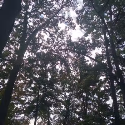 Shadyside Park - Akron, OH