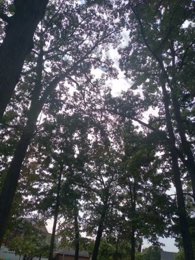 Shadyside Park - Akron, OH