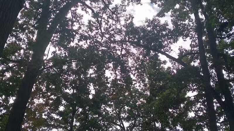 Shadyside Park - Akron, OH