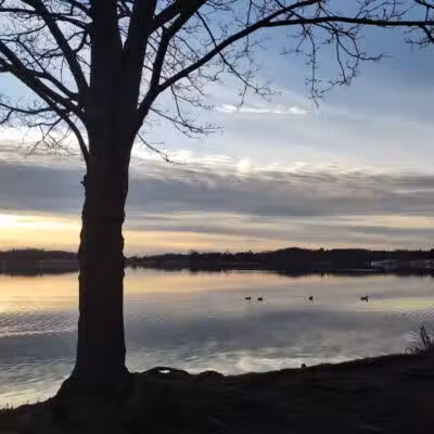 Springfield Lake - Akron, OH