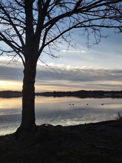 Springfield Lake - Akron, OH