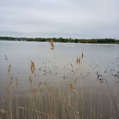 Springfield Lake - Akron, OH