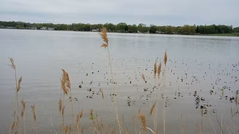 Springfield Lake - Akron, OH