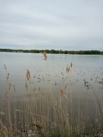 Springfield Lake - Akron, OH