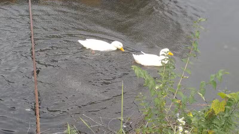Towpath Trailhead at Manchester Rd - Akron, OH