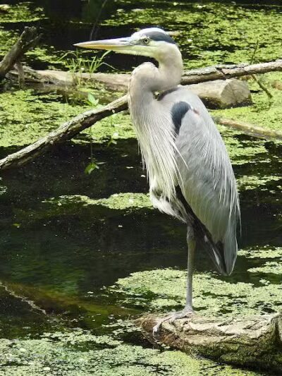 Towpath Trailhead at Manchester Rd - Akron, OH