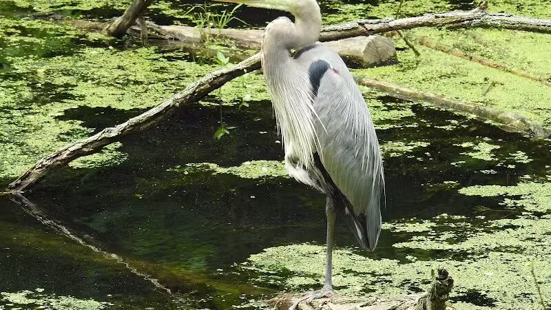 Towpath Trailhead at Manchester Rd - Akron, OH
