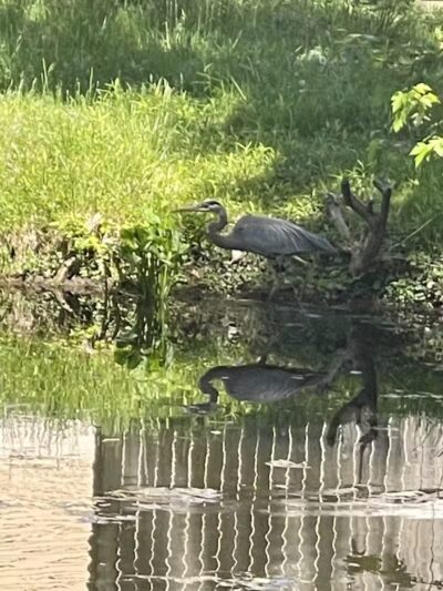 Towpath Trailhead at Manchester Rd - Akron, OH