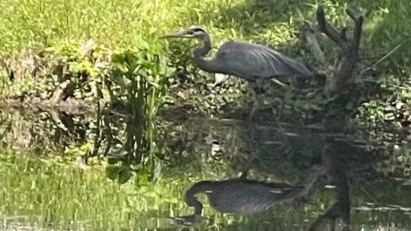 Towpath Trailhead at Manchester Rd - Akron, OH
