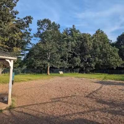 Hartman Rd Dog Park - Albany, NY