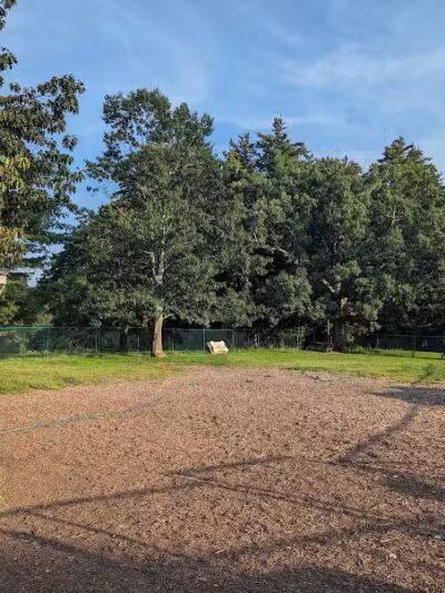 Hartman Rd Dog Park - Albany, NY