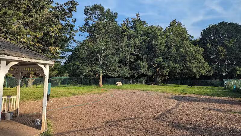 Hartman Rd Dog Park - Albany, NY