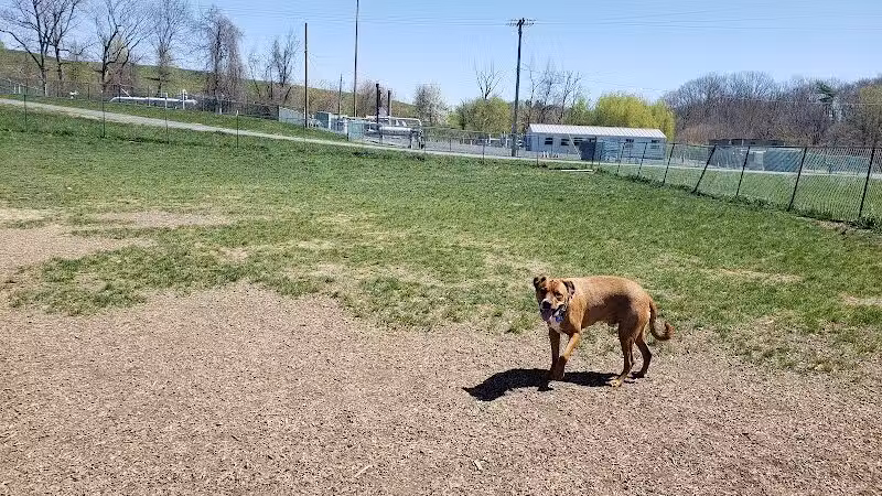 Normanskill Farm Dog Park - Albany, NY