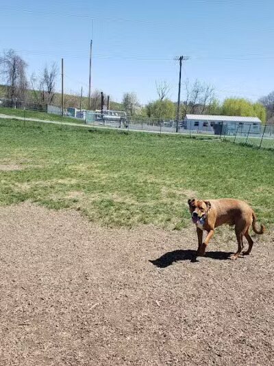 Normanskill Farm Dog Park - Albany, NY