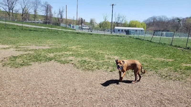 Normanskill Farm Dog Park - Albany, NY