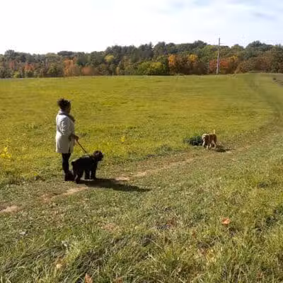 Normanskill Farm Dog Park - Albany, NY