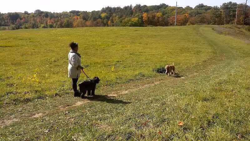Normanskill Farm Dog Park - Albany, NY