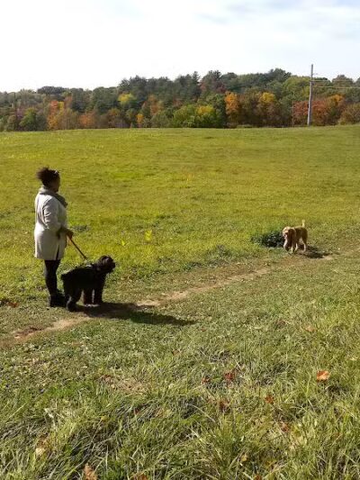 Normanskill Farm Dog Park - Albany, NY