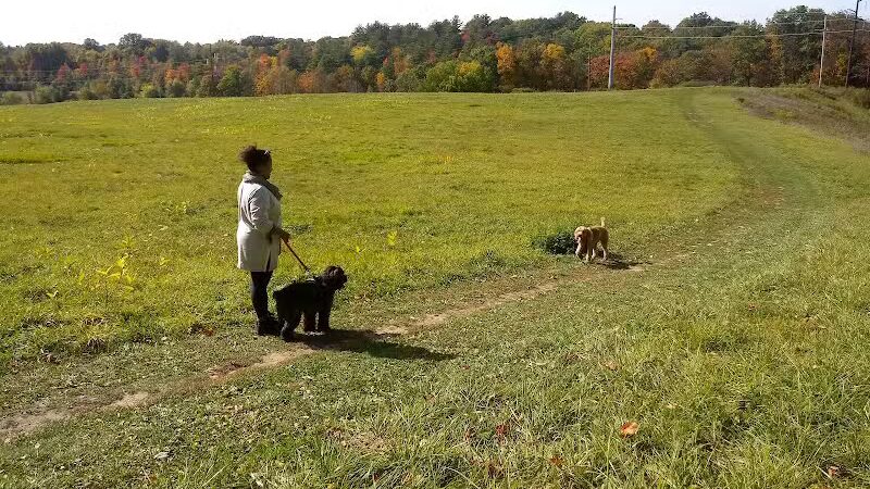 Normanskill Farm Dog Park - Albany, NY