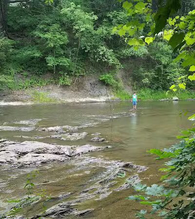 Normanskill Farm Dog Park - Albany, NY