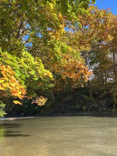 Normanskill Farm Dog Park - Albany, NY