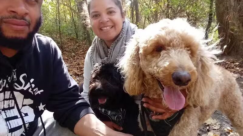 Normanskill Farm Dog Park - Albany, NY