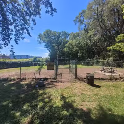 Westland Hills Dog Park - Albany, NY