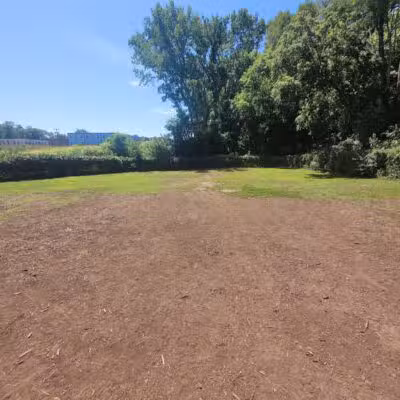 Westland Hills Dog Park - Albany, NY
