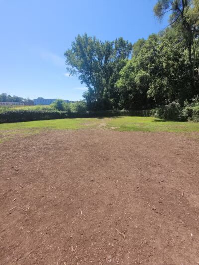 Westland Hills Dog Park - Albany, NY