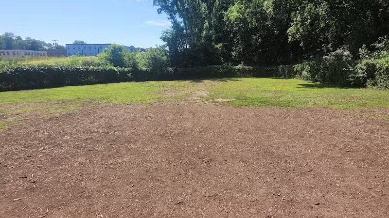 Westland Hills Dog Park - Albany, NY