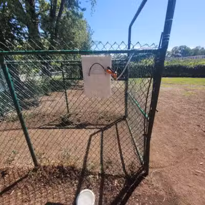 Westland Hills Dog Park - Albany, NY