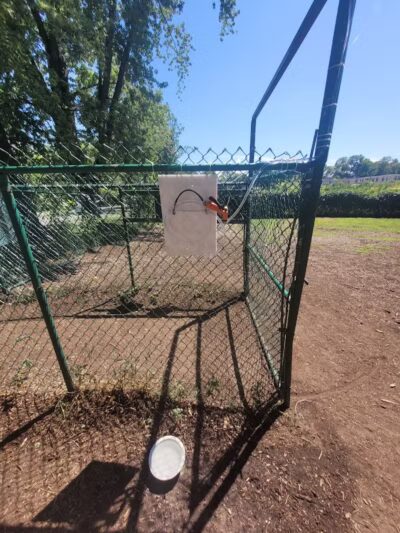 Westland Hills Dog Park - Albany, NY