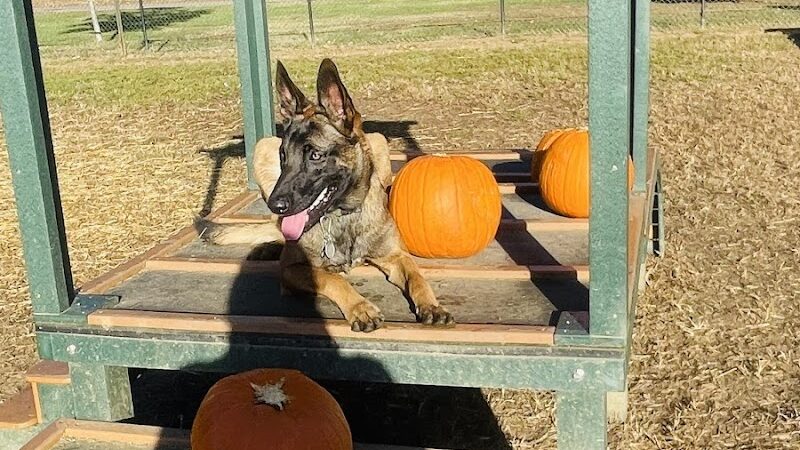 Westgrove Dog Park - Alexandria, VA