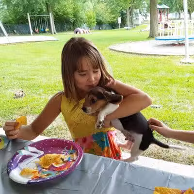 Alger Village Park - Alger, OH