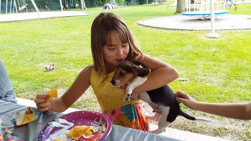 Alger Village Park - Alger, OH