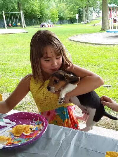 Alger Village Park - Alger, OH