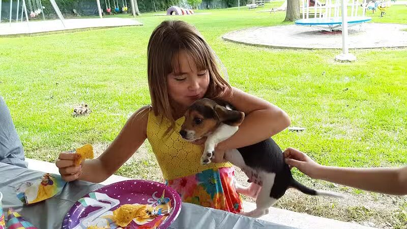 Alger Village Park - Alger, OH