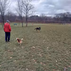 Alliance Dog Park - Alliance, OH