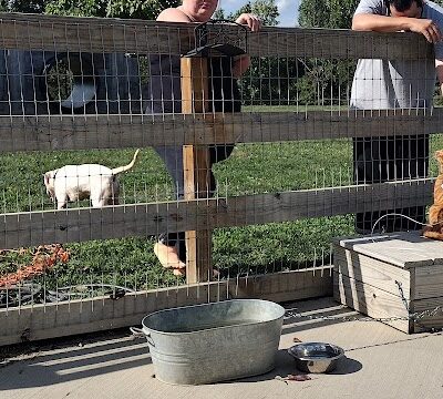Alliance Dog Park - Alliance, OH