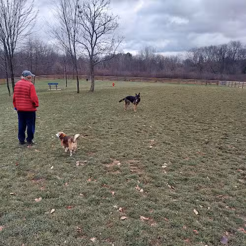 Alliance Dog Park - Alliance, OH