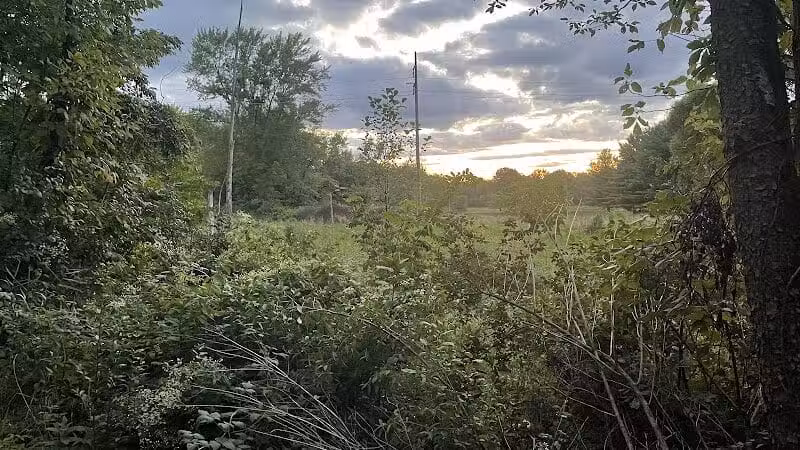 Iron Horse Trailhead - Alliance, OH