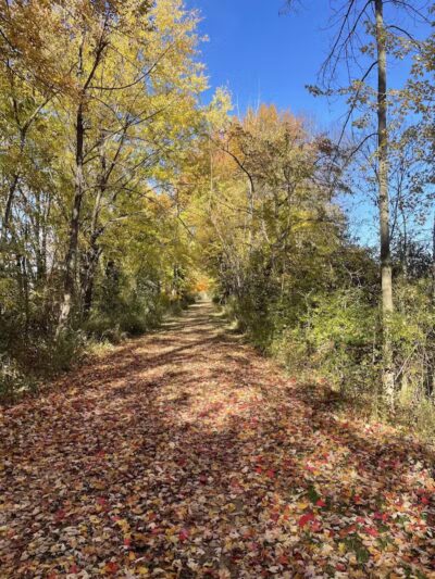 Iron Horse Trailhead - Alliance, OH