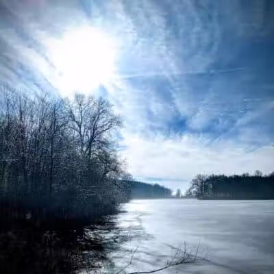 Lake Park Wildlife Area - Alliance, OH