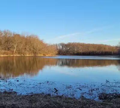 Lake Park Wildlife Area - Alliance, OH