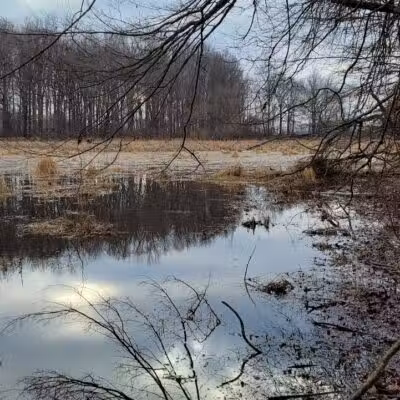 Lake Park Wildlife Area - Alliance, OH