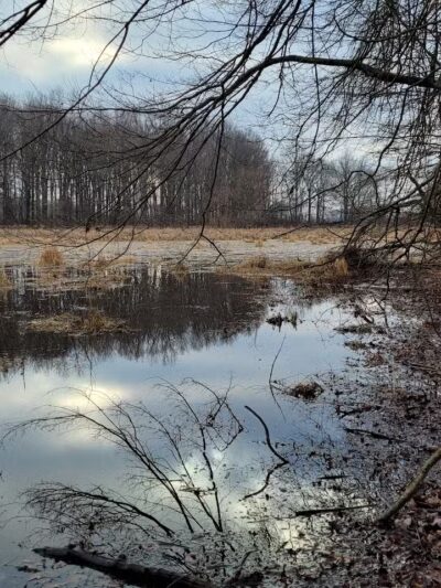 Lake Park Wildlife Area - Alliance, OH